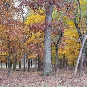 Meet your Posher, Josegpenorma